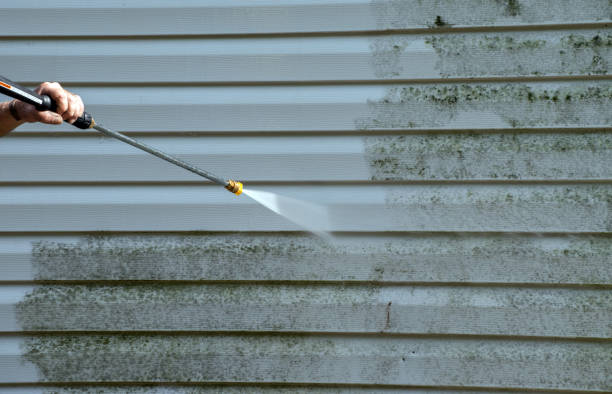Best Pressure Washing Siding  in Perry, GA