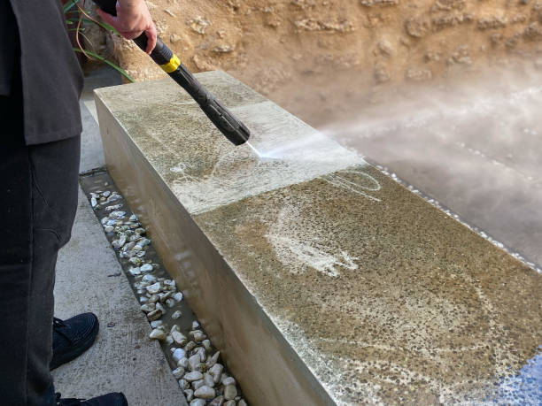 Best Roof Pressure Washing  in Perry, GA